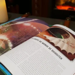 Harry Potter Au Cinéma Vol. 7 - Quidditch Et Tournoi Des 3 Sorciers -Les 4 Maisons Boutique 20200611 130429 scaled