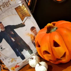 Déguisement Adulte Harry Potter + Baguette + Cravate 7 Déguisement Adulte Harry Potter + Baguette + Cravate -Les 4 Maisons Boutique 20201002 113710 scaled