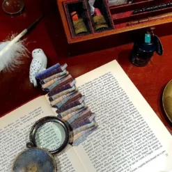 Marque-page Hedwige Sur Pile De Livres -Les 4 Maisons Boutique 20201015 155856 compress86