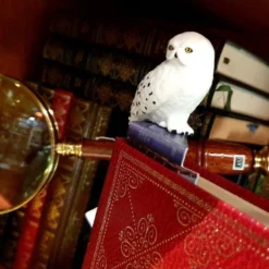 Marque-page Hedwige Sur Pile De Livres -Les 4 Maisons Boutique 20201015 155953 compress47