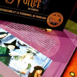 Harry Potter Au Cinéma Vol. 11 - Les Professeurs Et Le Personnel De Poudlard -Les 4 Maisons Boutique 20201020 124806 compress67