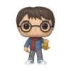 FUNKO Figurine Pop Holiday Harry Potter 2 FUNKO Figurine Pop Holiday Harry Potter -Les 4 Maisons Boutique 51152 hp holiday harry pop glam web