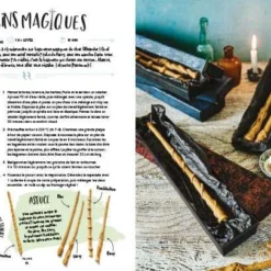 Harry Potter - Le Livre De Cuisine Officiel -Les 4 Maisons Boutique aperitif harry potter livre recettes