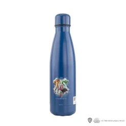 Cinereplicas Bouteille Isotherme Serdaigle 500 Ml - Harry Potter -Les 4 Maisons Boutique bouteille inox serdaigle