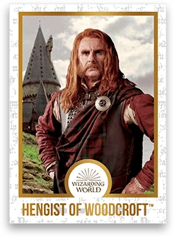 Chocogrenouille En Chocolat - Harry Potter 6 Chocogrenouille En Chocolat - Harry Potter – Image 4