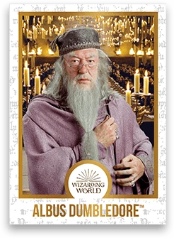 Chocogrenouille En Chocolat - Harry Potter 7 Chocogrenouille En Chocolat - Harry Potter – Image 5