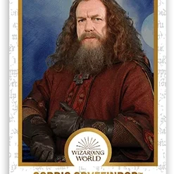 Chocogrenouille En Chocolat - Harry Potter 19 Chocogrenouille En Chocolat - Harry Potter -Les 4 Maisons Boutique chocogrenouille en chocolat harry potter 07