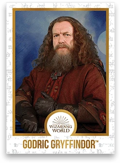 Chocogrenouille En Chocolat - Harry Potter 11 Chocogrenouille En Chocolat - Harry Potter – Image 9