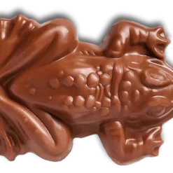Chocogrenouille En Chocolat - Harry Potter 13 Chocogrenouille En Chocolat - Harry Potter -Les 4 Maisons Boutique chocogrenouille harry potter