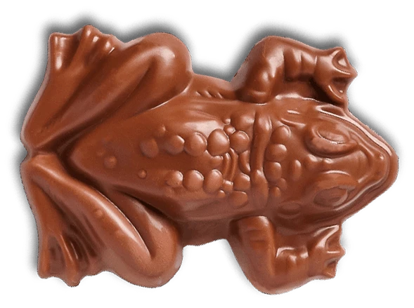 Chocogrenouille En Chocolat - Harry Potter 5 Chocogrenouille En Chocolat - Harry Potter – Image 3
