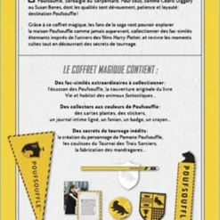 Destination Poufsouffle - Coffret Magique Du Monde Des Sorciers -Les 4 Maisons Boutique coffret harry potter destination poufsouffle
