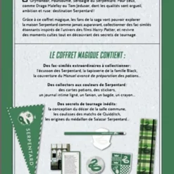 Destination Serpentard - Coffret Magique Du Monde Des Sorciers -Les 4 Maisons Boutique coffret harry potter destination serpentard