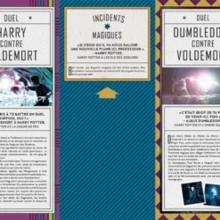 Baguettes Magiques - Coffret Magique Du Monde Des Sorciers 8 Baguettes Magiques - Coffret Magique Du Monde Des Sorciers -Les 4 Maisons Boutique coffret harry potter monde magique des sorciers baguettes magiques