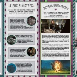 Magie Noire - Coffret Magique Du Monde Des Sorciers - Harry Potter -Les 4 Maisons Boutique coffret magie noire harry potter