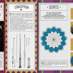 Baguettes Magiques - Coffret Magique Du Monde Des Sorciers 9 Baguettes Magiques - Coffret Magique Du Monde Des Sorciers -Les 4 Maisons Boutique coffret magique du monde des sorciers baguettes magiques 02