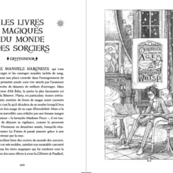Edition Gryffondor 20 Ans Harry Potter Et Le Prince De Sang Mêlé -Les 4 Maisons Boutique edition gryffondor 20 ans harry potter et le prince de sang mele 03