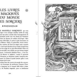 Edition Poufsouffle 20 Ans Harry Potter Et Le Prince De Sang Mêlé -Les 4 Maisons Boutique edition poufsouffle 20 ans harry potter et le prince de sang mele 03