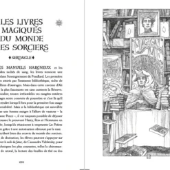 Edition Serdaigle 20 Ans Harry Potter Et Le Prince De Sang Mêlé -Les 4 Maisons Boutique edition serdaigle 20 ans harry potter et le prince de sang mele 03