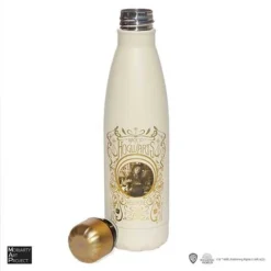 Bouteille Isotherme Hermione Polynectar 500 Ml - Harry Potter