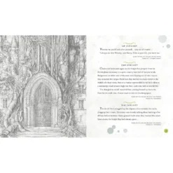 Harry Potter - A Magical Year Illustré Par Jim Kay -Les 4 Maisons Boutique harry potter a magical year jim kay 03