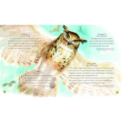 Harry Potter - A Magical Year Illustré Par Jim Kay -Les 4 Maisons Boutique harry potter a magical year jim kay 06