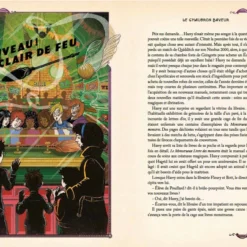 Harry Potter Et Le Prisonnier D'Azkaban (FRANCAIS) - Illustré Par MinaLima -Les 4 Maisons Boutique harry potter et le prisonnier azkaban illustre minalima