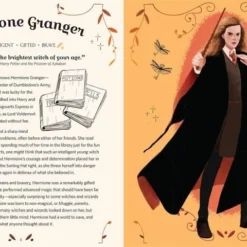 Harry Potter - Fières D'être Sorcières ! -Les 4 Maisons Boutique harry potter fieres detre sorcieres 03