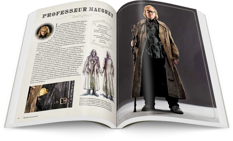 Harry Potter - La Galerie Des Portraits 6 Harry Potter - La Galerie Des Portraits – Image 4