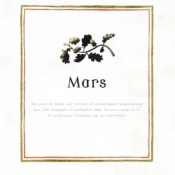 Harry Potter - Une Année De Magie - Illustré Par Jim Kay -Les 4 Maisons Boutique harry potter une annee de magie jim kay livre 02