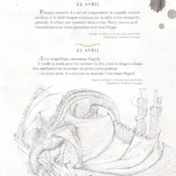 Harry Potter - Une Année De Magie - Illustré Par Jim Kay -Les 4 Maisons Boutique harry potter une annee de magie jim kay livre 03