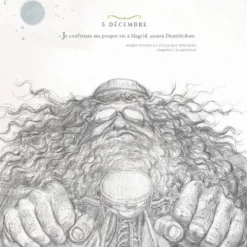 Harry Potter - Une Année De Magie - Illustré Par Jim Kay -Les 4 Maisons Boutique harry potter une annee de magie jim kay livre 05