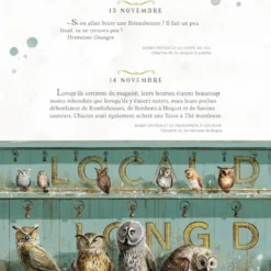 Harry Potter - Une Année De Magie - Illustré Par Jim Kay -Les 4 Maisons Boutique harry potter une annee de magie jim kay livre 06