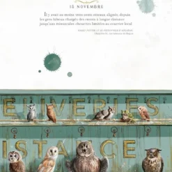 Harry Potter - Une Année De Magie - Illustré Par Jim Kay -Les 4 Maisons Boutique harry potter une annee de magie jim kay livre 07