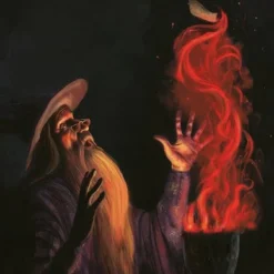 Harry Potter - Une Année De Magie - Illustré Par Jim Kay -Les 4 Maisons Boutique harry potter une annee de magie jim kay livre 09