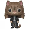 FUNKO Figurine Pop Hermione Chat -Les 4 Maisons Boutique hermione6 s