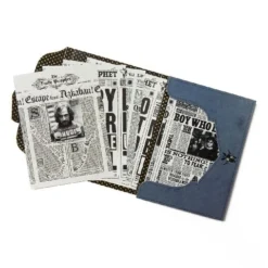 Lot 20 Cartes Postales The Daily Prophet -Les 4 Maisons Boutique idpp01 vue3 480