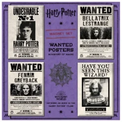 Set Magnets Ministry Of Magic Wanted Posters