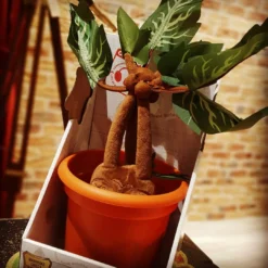 Noble Collection Peluche Mandragore Interactive - Harry Potter 11 Noble Collection Peluche Mandragore Interactive - Harry Potter -Les 4 Maisons Boutique img 20191009 172901 842