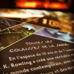 Harry Potter - La Magie Des Films -Les 4 Maisons Boutique img 20191010 144635 605