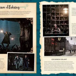 La Magie Du Cinéma 5: Les Secrets De Dumbledore 12 La Magie Du Cinéma 5: Les Secrets De Dumbledore -Les 4 Maisons Boutique la magie du cinema 5 les secrets de dumbledore 02