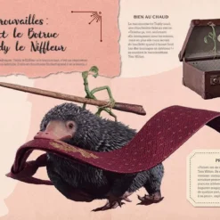 La Magie Du Cinéma 5: Les Secrets De Dumbledore 13 La Magie Du Cinéma 5: Les Secrets De Dumbledore -Les 4 Maisons Boutique la magie du cinema 5 les secrets de dumbledore 03