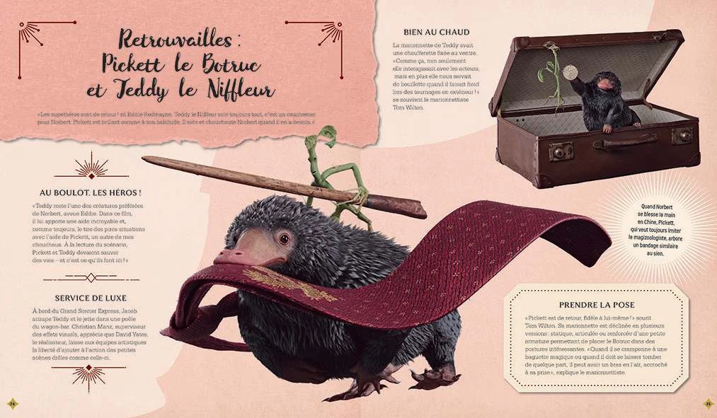 La Magie Du Cinéma 5: Les Secrets De Dumbledore 8 La Magie Du Cinéma 5: Les Secrets De Dumbledore – Image 6