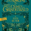 Les Animaux Fantastiques 2 - Les Crimes De Grindelwald - Texte Du Film (poche) -Les 4 Maisons Boutique livre de poche animaux fantastiques les crimes de grindelwald