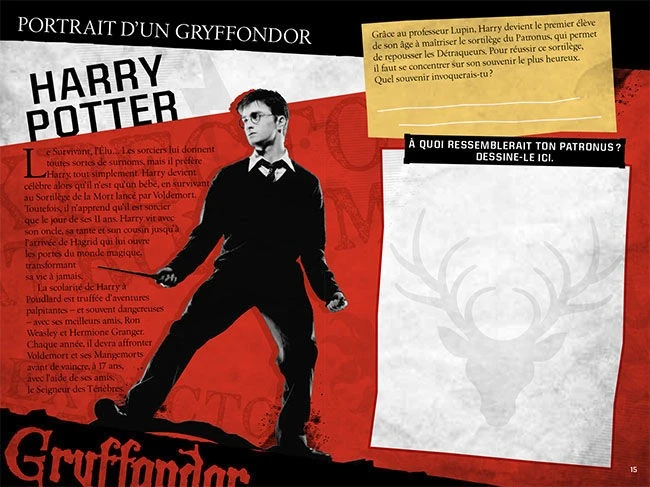 Harry Potter - Le Journal Créatif: Les Maisons De Poudlard 6 Harry Potter - Le Journal Créatif: Les Maisons De Poudlard – Image 4