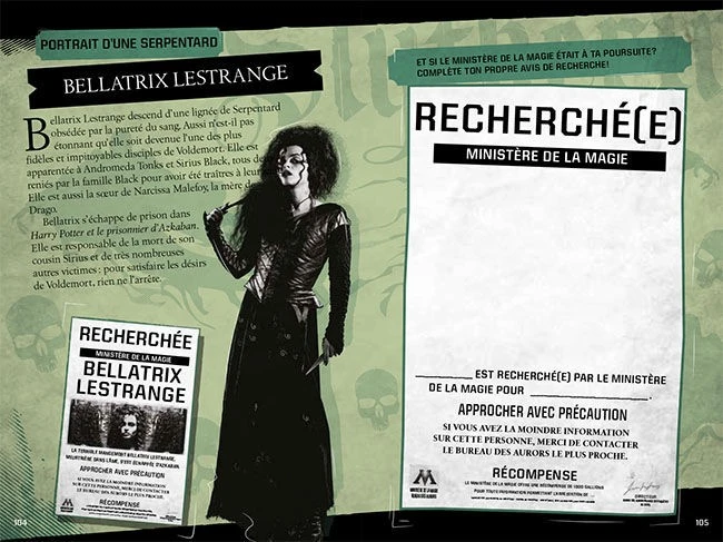 Harry Potter - Le Journal Créatif: Les Maisons De Poudlard 4 Harry Potter - Le Journal Créatif: Les Maisons De Poudlard – Image 2