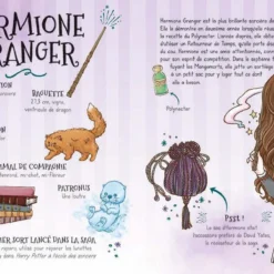 Poudlard - Le Dressing - Harry Potter -Les 4 Maisons Boutique livre harry potter poudlard le dressing 04