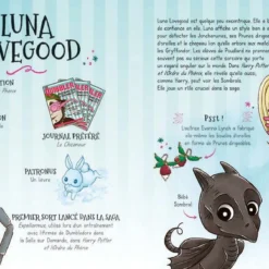 Poudlard - Le Dressing - Harry Potter -Les 4 Maisons Boutique livre harry potter poudlard le dressing 06