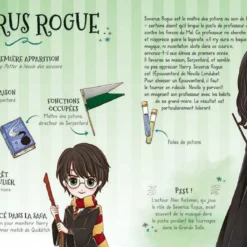 Poudlard - Le Dressing - Harry Potter -Les 4 Maisons Boutique livre harry potter poudlard le dressing 08