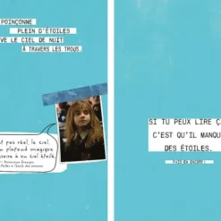 Horcruxes, 100 Façons De Les Détruire - Harry Potter -Les 4 Maisons Boutique livre horcruxes 100 facons de les detruire harry potter 02