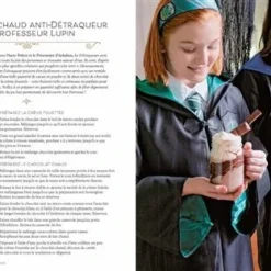 Harry Potter - Festins Et Festivités - Loisirs Créatifs -Les 4 Maisons Boutique livre idee recette banquet harry potter